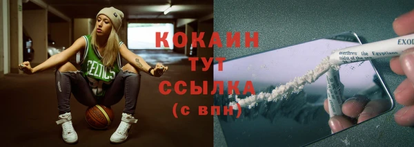 стафф Богородск