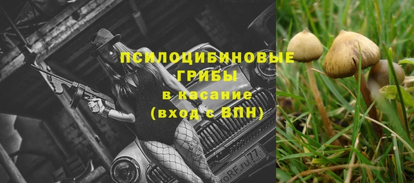 дживик Богданович