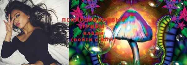 стафф Богородск